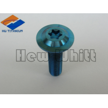 Gr5 Titanium torx head bolt